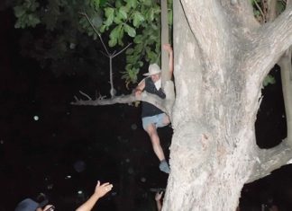 The unidentified climber is finally convinced to return to solid ground.